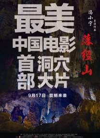 和前作《比悲伤更悲伤的故事》一样，该片也是一部翻拍作品，改编自韩国电影《和声》。